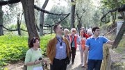 Il gruppo viene accompagnato lungo un percorso dove poter apprezzare e valutare le varie fasi produttive. In questo momento, Eugenio, delucida la Produzione dell'Olio di Oliva EXTRAVERGINE