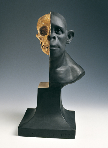 Busto di Homo Erectus della Federico II di Napoli - ALENAPOLI Tour