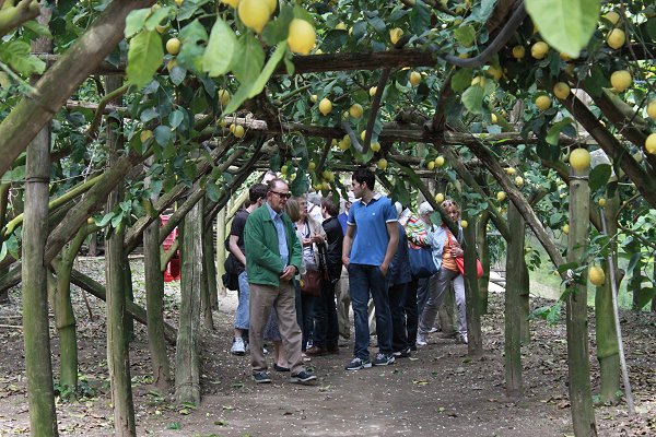 Ingresso della Azienda Agricola dei Tours di ALENAPOLI Tour